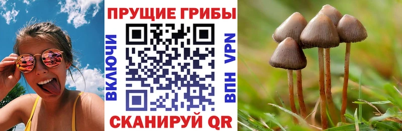 ОМГ ОМГ онион  Жуковка  Галлюциногенные грибы GOLDEN TEACHER 